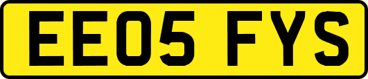 EE05FYS