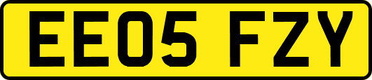 EE05FZY