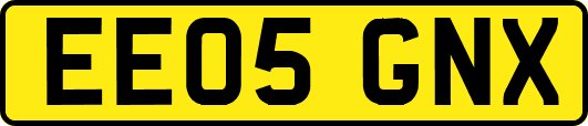 EE05GNX