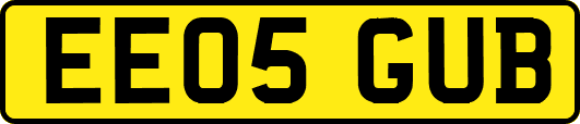 EE05GUB