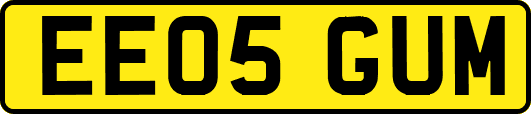 EE05GUM