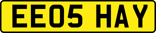 EE05HAY