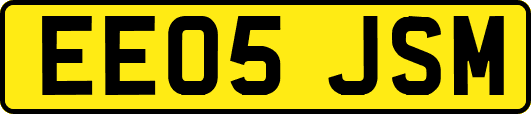 EE05JSM