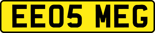 EE05MEG