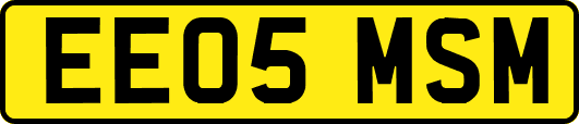EE05MSM