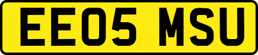 EE05MSU
