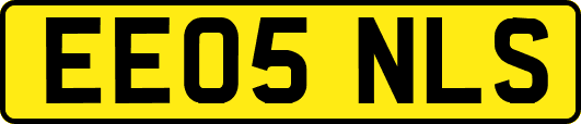 EE05NLS