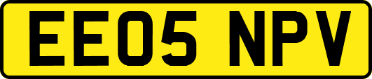 EE05NPV