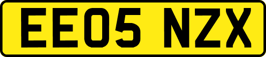 EE05NZX