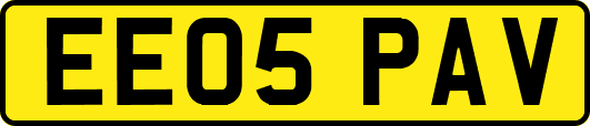 EE05PAV