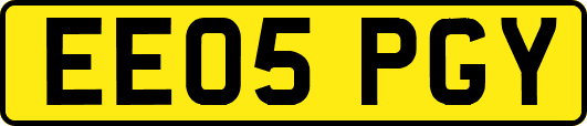 EE05PGY