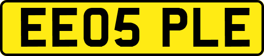 EE05PLE