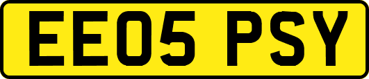 EE05PSY