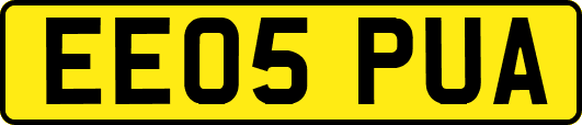 EE05PUA