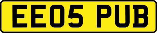 EE05PUB