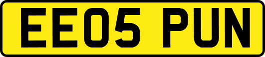 EE05PUN