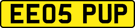 EE05PUP