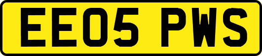 EE05PWS