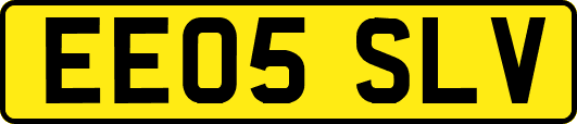 EE05SLV
