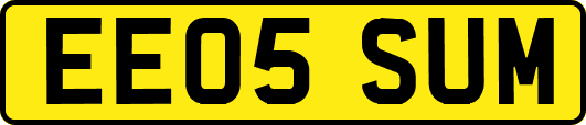 EE05SUM