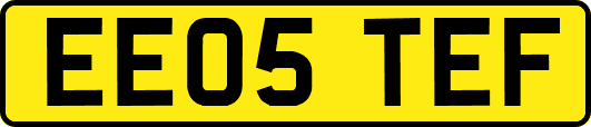 EE05TEF