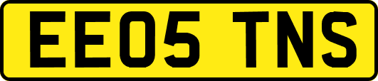 EE05TNS