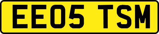 EE05TSM