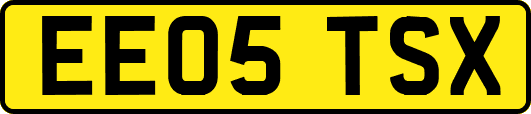 EE05TSX