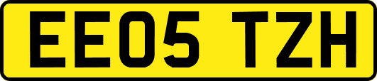 EE05TZH