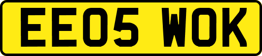 EE05WOK