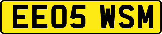 EE05WSM