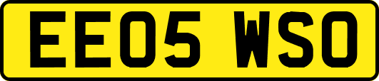EE05WSO