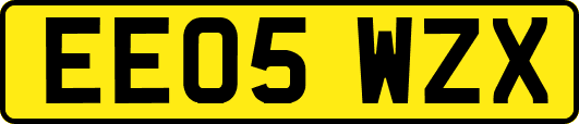 EE05WZX