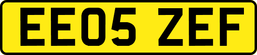 EE05ZEF