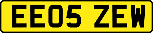 EE05ZEW
