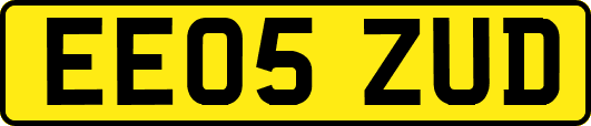 EE05ZUD