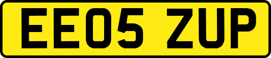 EE05ZUP