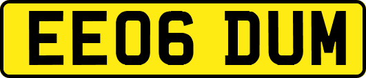 EE06DUM