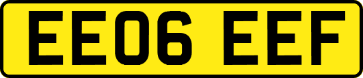 EE06EEF