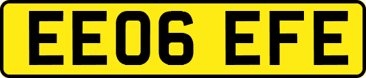 EE06EFE