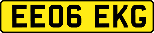EE06EKG