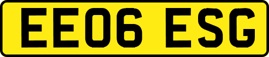 EE06ESG