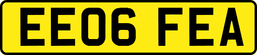 EE06FEA