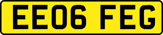 EE06FEG