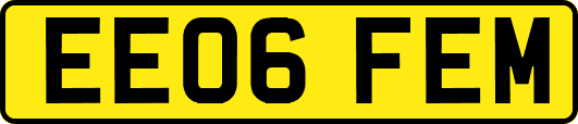 EE06FEM
