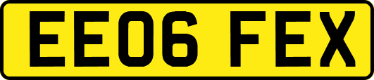 EE06FEX