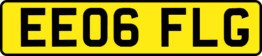 EE06FLG