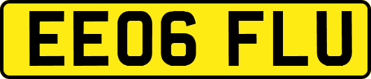 EE06FLU