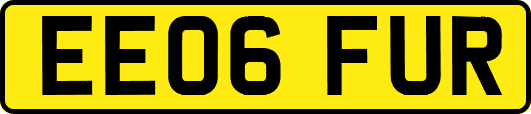 EE06FUR