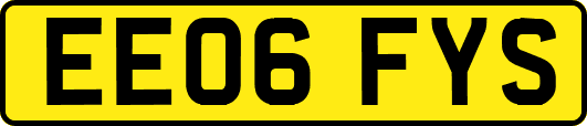 EE06FYS